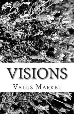 Book cover for Visions