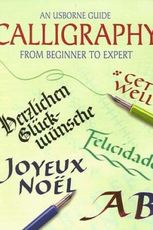 Cover of An Usborne Guide Calligraphy from Beginner to Expert