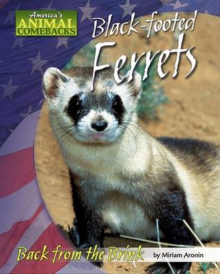 Book cover for Black-Footed Ferrets