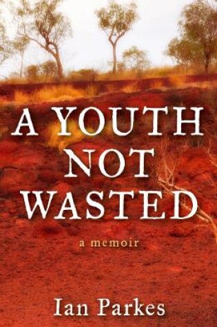 Cover of A Youth Not Wasted