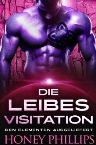 Cover of Die Liebesvisitation