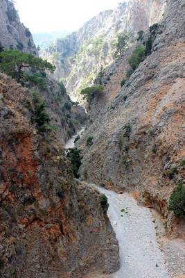 Book cover for Website Password Organizer Aradena Gorge in Crete, Greece