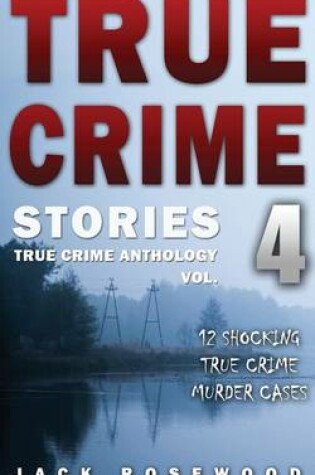 Cover of True Crime Stories Volume 4