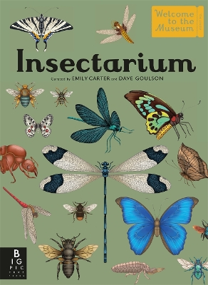 Book cover for Insectarium