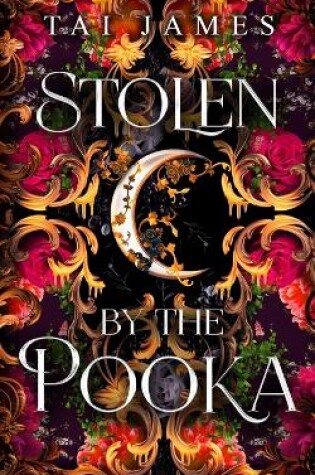 Cover of Stolen by the Pooka