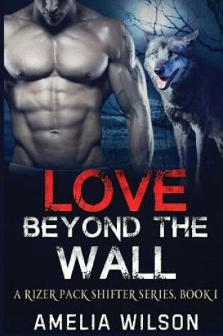 Cover of Love Beyond the Wall