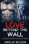 Book cover for Love Beyond the Wall