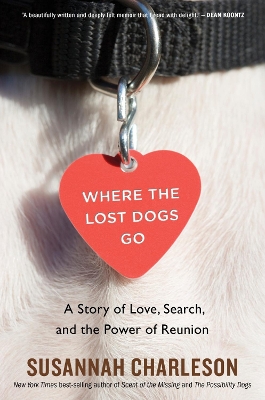 Book cover for Where the Lost Dogs Go