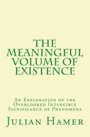 Cover of The Meaningful Volume of Existence