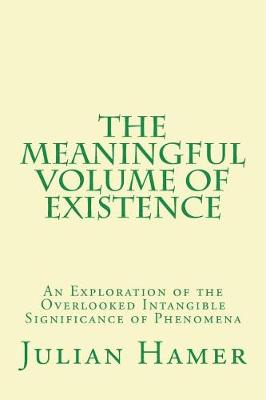 Book cover for The Meaningful Volume of Existence