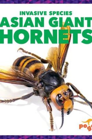 Cover of Asian Giant Hornets