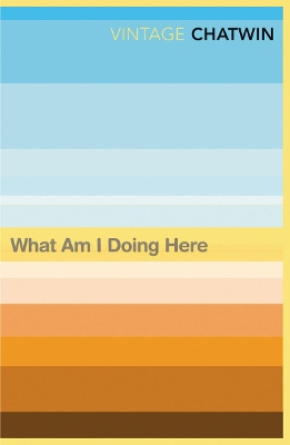 Cover of What Am I Doing Here?