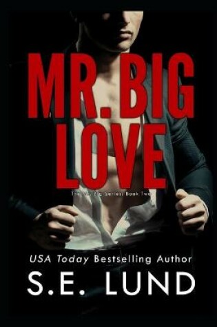 Cover of Mr. Big Love