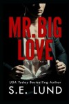 Book cover for Mr. Big Love