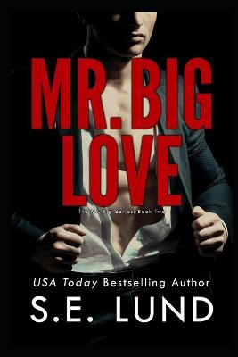 Cover of Mr. Big Love