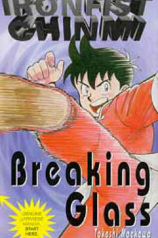 Cover of Breaking Glass