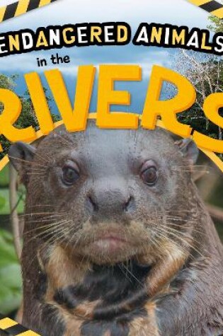 Cover of In the Rivers