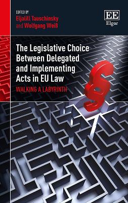 Cover of The Legislative Choice Between Delegated and Imp - Walking a Labyrinth