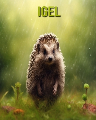 Book cover for Igel