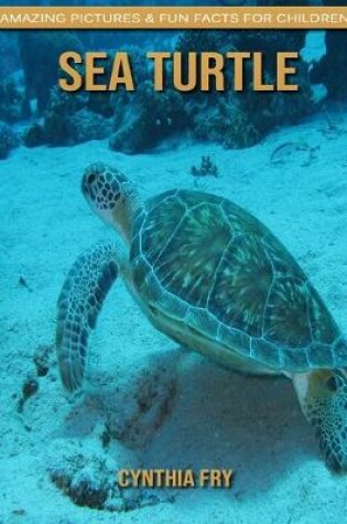 Cover of Sea turtle