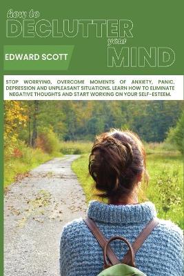 Book cover for How to Declutter your Mind