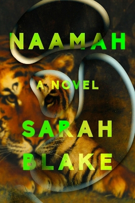 Book cover for Naamah