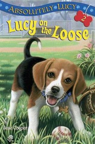 Cover of Lucy on the Loose