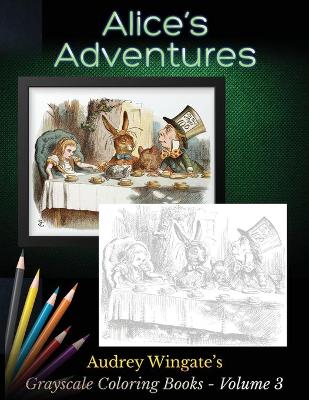 Book cover for Alice's Adventures