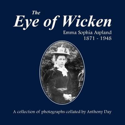 Cover of The Eye of Wicken