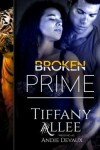 Book cover for Broken Prime