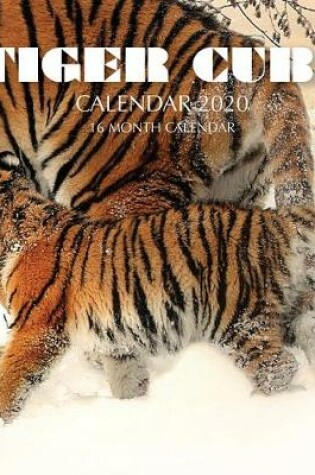 Cover of Tiger Cubs Calendar 2020