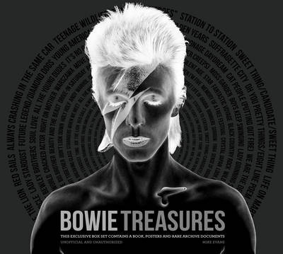 Book cover for David Bowie Treasures