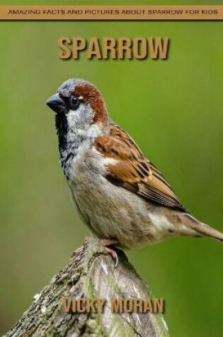 Cover of Sparrow