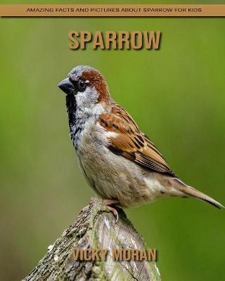 Book cover for Sparrow