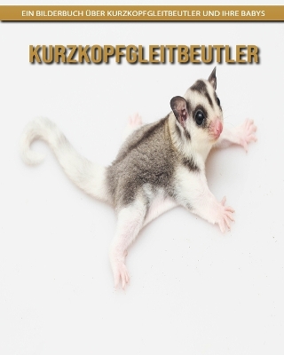 Book cover for Kurzkopfgleitbeutler