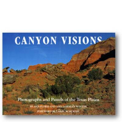 Book cover for Canyon Visions