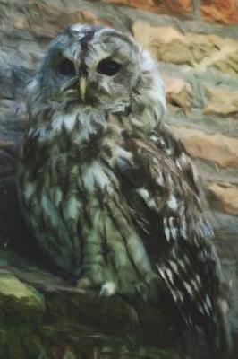 Book cover for Ural Owl On A Stone Ledge - Lined Notebook with Margins