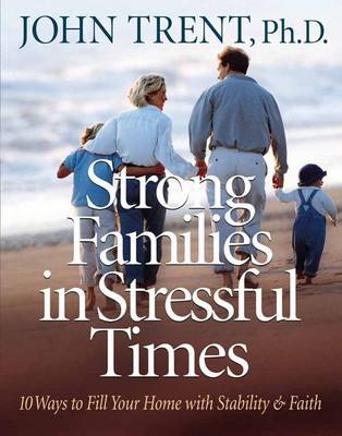 Book cover for Strong Families in Stressful Times