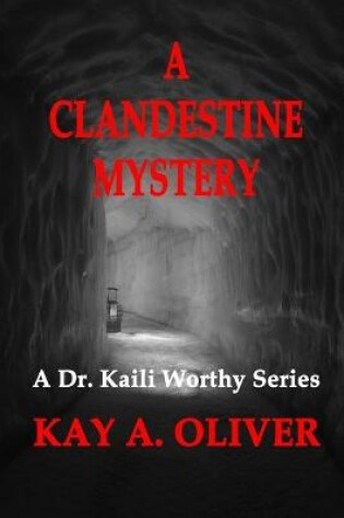Cover of A Clandestine Mystery