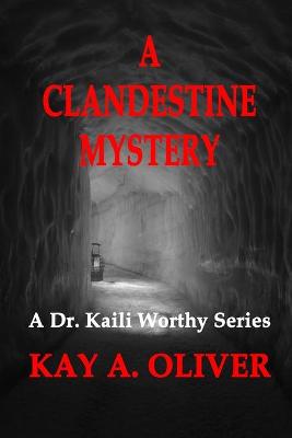 Book cover for A Clandestine Mystery