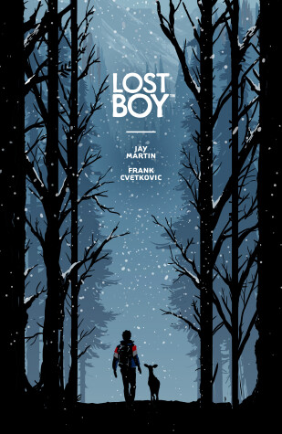 Book cover for Lost Boy