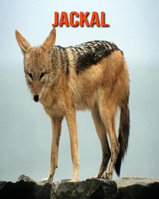 Cover of Jackal