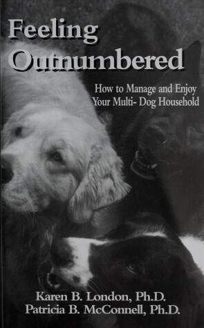 Book cover for Feeling Outnumbered?