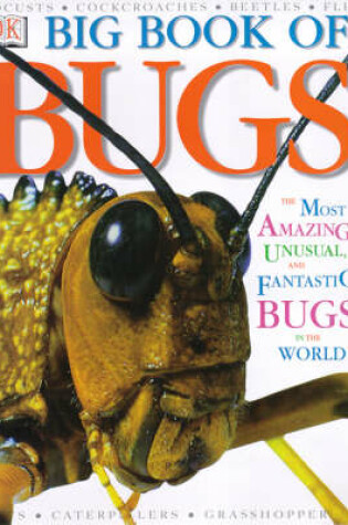 Cover of DK Big Book of Bugs