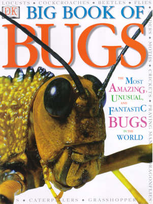 Cover of DK Big Book of Bugs