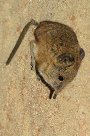 Cover of An Elephant Shrew on the Sand, for the Love of Animals