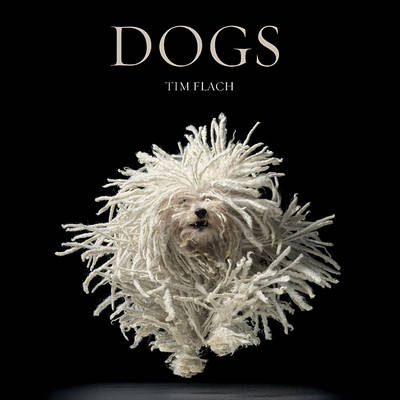 Book cover for Dogs