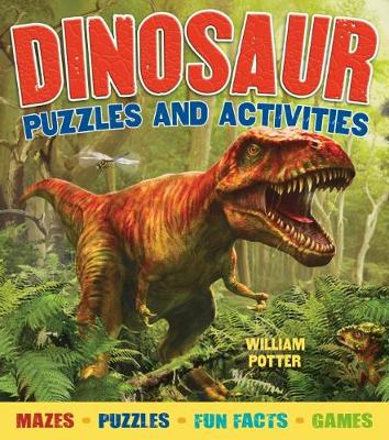 Book cover for Dinosaur Puzzles and Activities