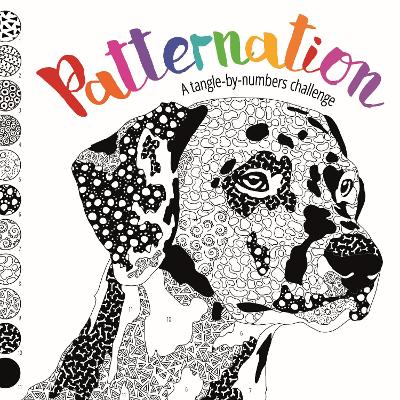 Book cover for Patternation