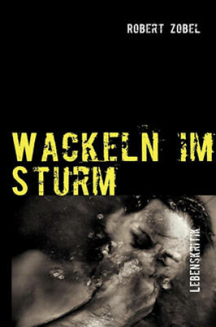 Cover of Wackeln im Sturm